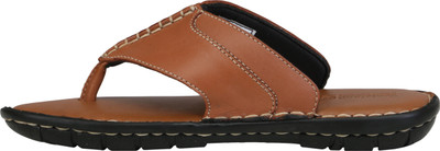 

Ventoland Men Tan Sandals