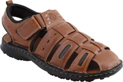 

Ventoland Men Tan Sandals