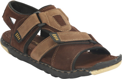 

Bacca Bucci Men Brown Casual