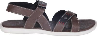 Kraasa Men Coffee Sandals
