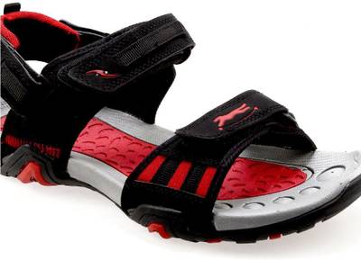 Tomcat Men Black Sandals