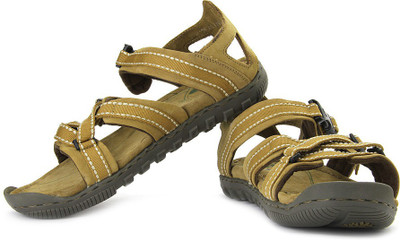 

Woodland Men CAMEL Sports Sandals