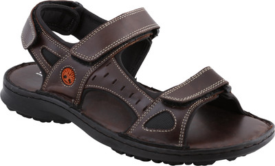 

Ventoland Men Brown Sandals