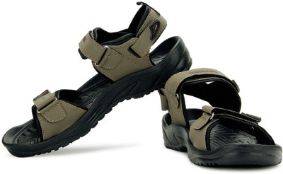 

Terravulc Men Brown Casual