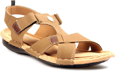 

Bacca Bucci Men Tan Casual