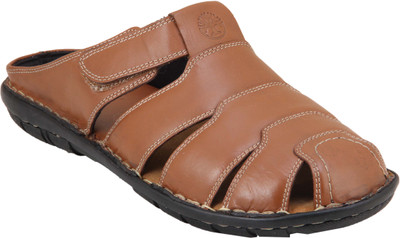 

Ventoland Men Tan Sandals