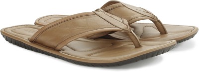 

Arrow Men Tan Sports Sandals