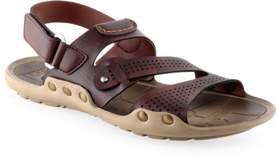 

Golite Men Brown Casual