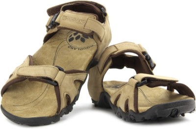 Woodland Men CAMEL Sandals - buy at the 