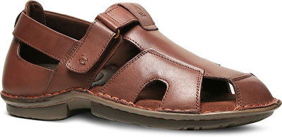 

Hush Puppies Men Brown Casual