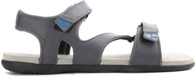 Puma Men periscope-drizzle-french blue Sports Sandals