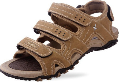 

Sparx Men Camel Casual