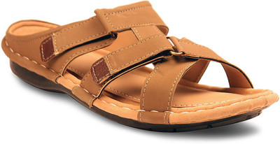 

Bacca Bucci Men Tan Casual