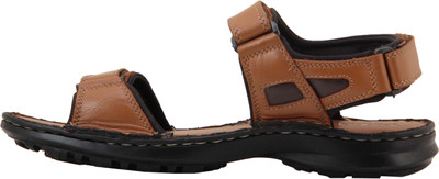 Ventoland Men Tan Sandals
