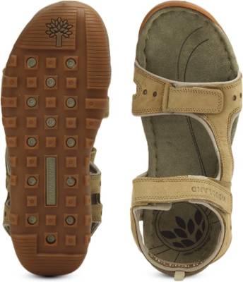 Woodland men camel hot sale sports sandals