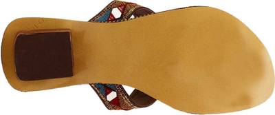 Shopoj Women Multicolor Heels