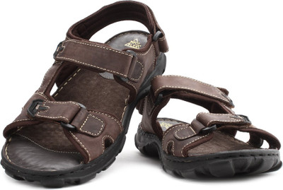 

Hush Puppies Men Brown Sports Sandals