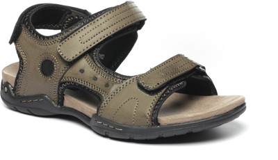 

Pavers England Men Brown Casual