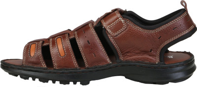 

Ventoland Men Brown Sandals