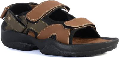 Shoegaro Men Tan Sandals