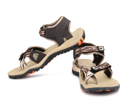 

Terravulc Men Beige, Brown Casual