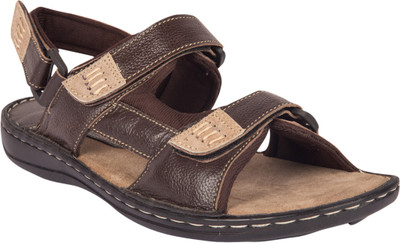

Invixo Men Brown Casual