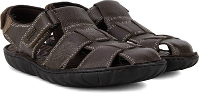 

Scholl Men Brown Casual