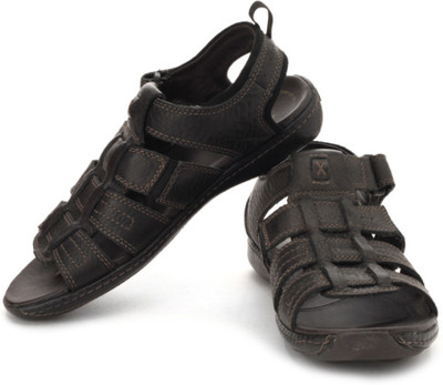 

Clarks Men Black Leathe Casual