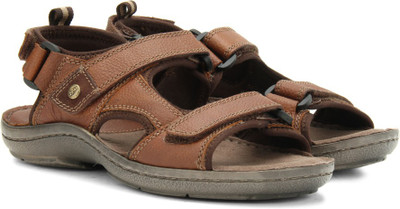 

Hush Puppies Men Brown Sports Sandals