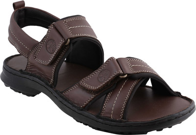

Ventoland Men Brown Sandals