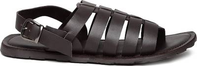 Invictus Men Tan Sports Sandals