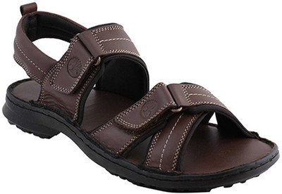 

Ventoland Men Brown Sandals