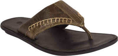 

E-Lyte Men Olive Casual