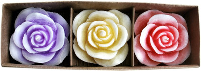 

Touch Nature 3 Md Rose Candle Gift Set(100 g)