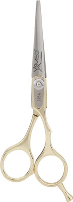 

MSD Professional Scissors(Set of 1, Gold, Silver)