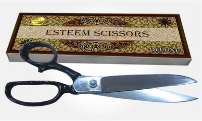 

Deluxe Esteem Scissors(Set of 1, White)