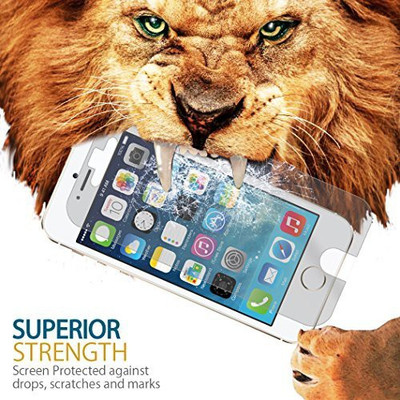 

Gadget Smith Screen Guard for Apple iPhone 5, Transparent