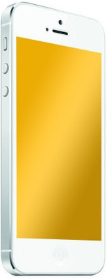 

Moarmouz Screen Guard for Apple iPhone 5, Gold
