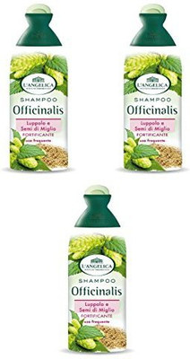 

L'Angelica Officinalis Shampoo Fortyfing With Hop And Millet Seeds -Pack Of 3(250 ml, Pack of 3)