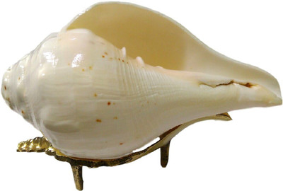 

Divine Temples Natural (with stand) Blowing Shankh(White)