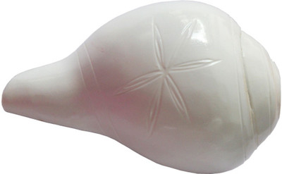 

Rich & Famous Religious White Spiritual Decorative Sacred Shankh(White)