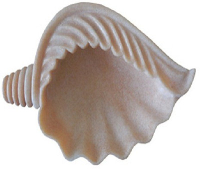 

Shopile Marble Carved Decorative Shankh(White)