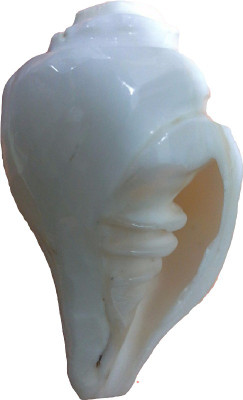 

Divine Temples (8 cms) Blowing Shankh(White)