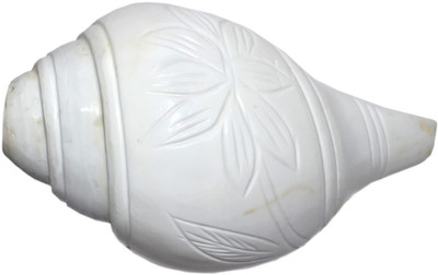 

Real Seed Very Big Loud and Highly Decorative Conch Blowing Shankh(White)