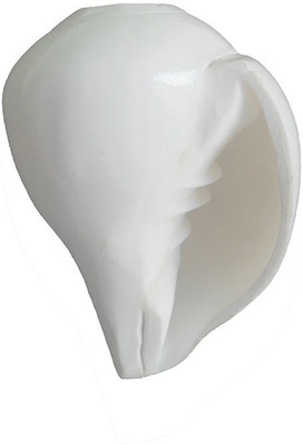 

Divine Temples Vamavarti (8 cms) Blowing Shankh(White)