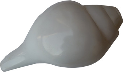 

Paridhanlok Ethnic Blowing Shankh(White, Brown)
