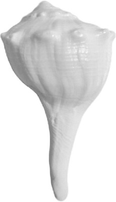 

Divine Temples Auspicious Dakshinavarti - (8 cms) Sacred Shankh(White)