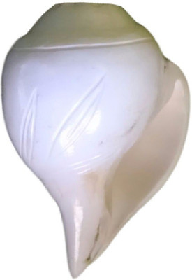 

Divine Temples Vamavarti Flower Design - 8.5 Cms Blowing Shankh(White)