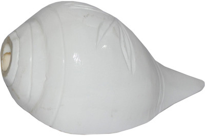 

Spiritual Max Blowing Shankh(White)