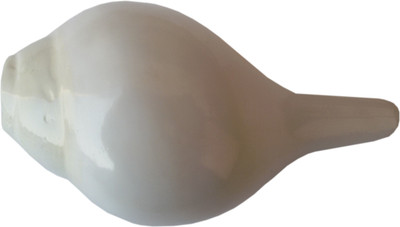 

Paridhanlok Ethnic Blowing Shankh(White, Brown)